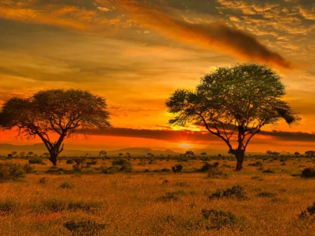 Africa
